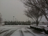 acruadealersnow1