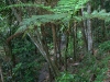 img_4737.jpg