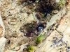 13-img_4338