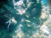 fh000006.jpg